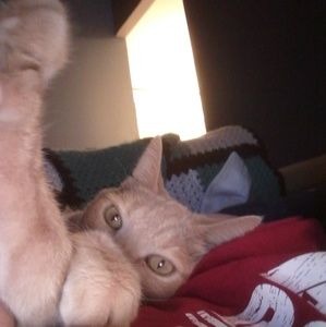 Meet your Posher, Ian